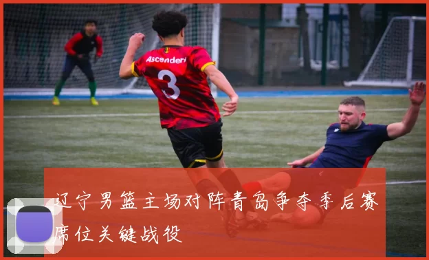 辽宁男篮主场对阵青岛争夺季后赛席位关键战役