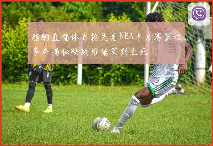 猎豹直播体育抢先看NBA季后赛篮板争夺揭秘硬战谁能笑到生死