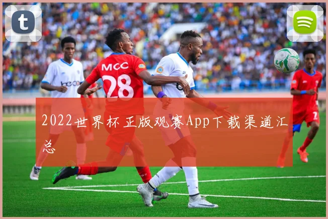 2022世界杯正版观赛App下载渠道汇总